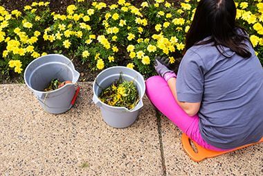 Volunteer Weeding Flowerbed at Lyndale Garden