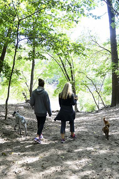 Owners and Dogs at Minnehaha Off-Leash Dog Park