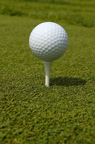 Close-Up of a Golf Ball at Minneapolis Golf Courses