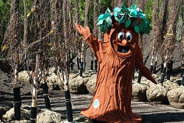 Elmer the Elm Tree is the Official Mascot of the Forestry Department
