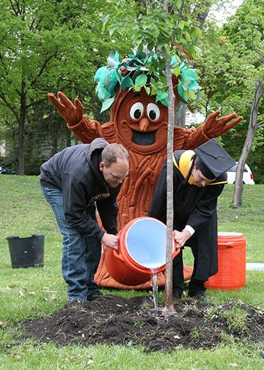 Elmer the Elm Tree Aiding in Watering Trees