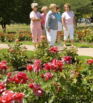 Rose Beds at Lyndale Park Rose Garden