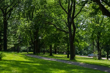 Norwegian Hill, Deming Heights Park