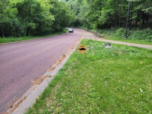 caution turtle sign next to road