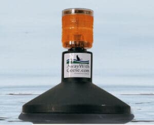 Away with Geese buoy