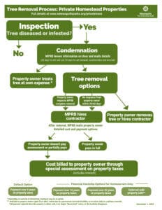 Tree Removal Process Diagram