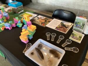 Table filled with magnifying glasses, feathers, bones, wooden blocks for kid's play and learn time.