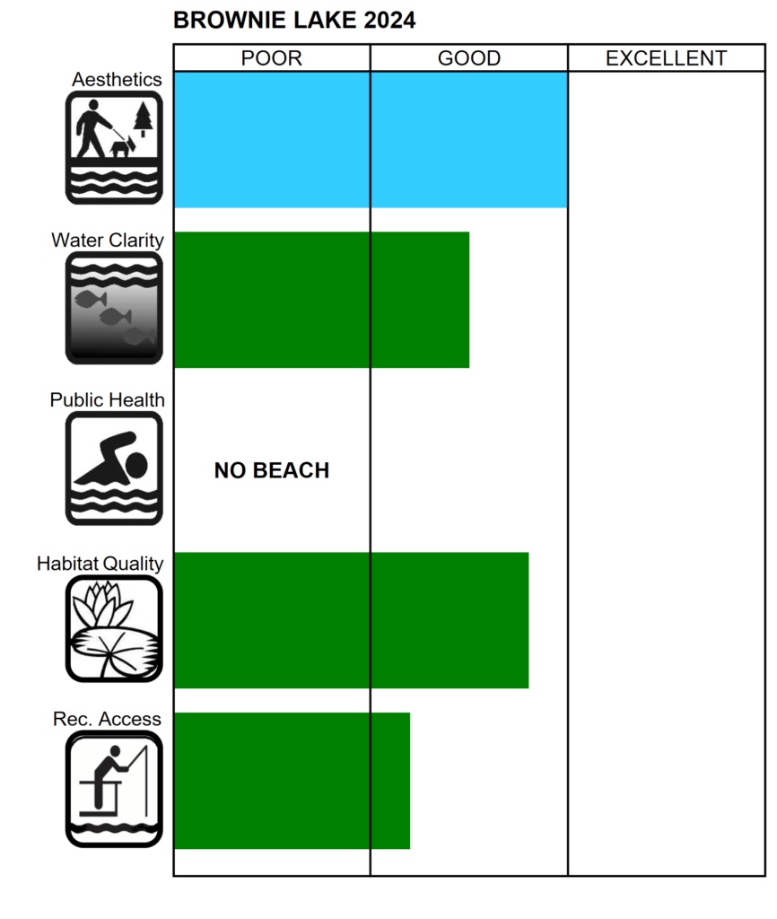 Brownie Lake Water Quality 2024