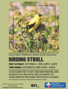 Bird Stroll flyer. Description in text on page. 