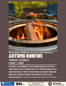 Autumn bonfire flyer. Description in text. 