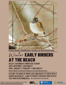 Winter Early Birders at the Beach flyer. Description in text. 