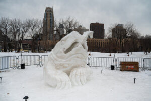Front view of snow sculpture - snapping turtle with fish in mouth. 