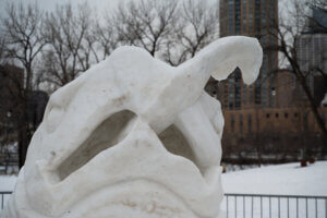 Close up of fish in mouth of snapping turtle - snow sculpture. 