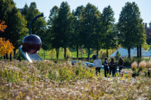 Sculpture Garden in the Fall