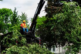 Minneapolis Storm Cleanup Minneapolis Storm Cleanup