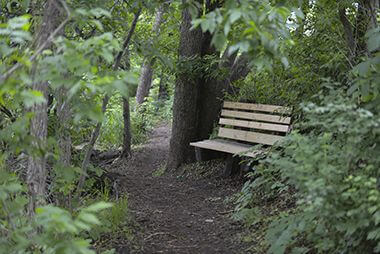 Walking Trail and Bench