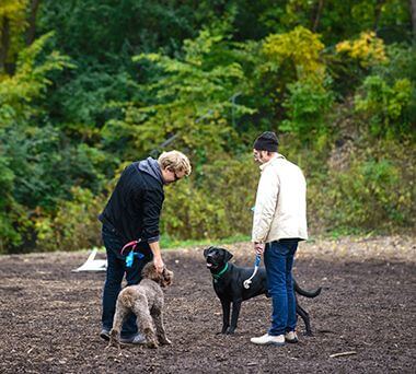 Owners and Dogs at Franklin Terrace Off-Leash Dog Park