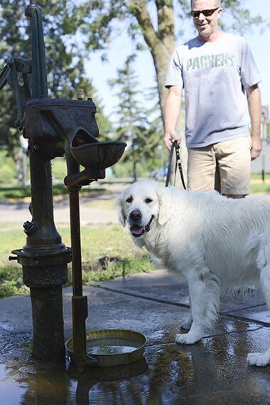 Dog Water Well