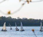 banner image: sailboats on Bde Maka Ska