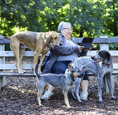 Owner with her Dogs at Lake of the Isles Off-Leash Dog Park