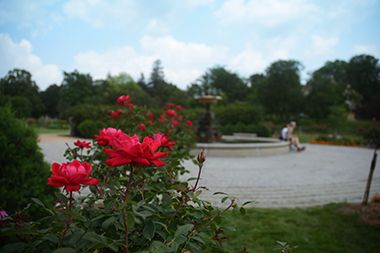 Lyndale Park Rose Garden Fountain
