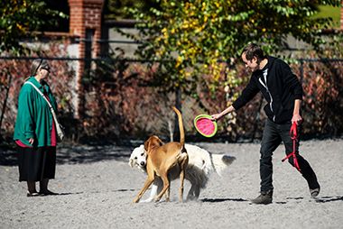 Owners and Dogs at Lyndale Farmstead Off-Leash Dog Park
