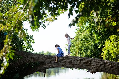Campers climbing a tree at Nature Camp