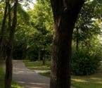 banner image: Creekview Park walking path and playground