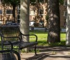banner image: Dickman Park benches
