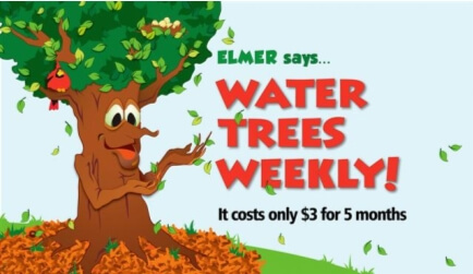 Elmer encourages residents to water trees weekly