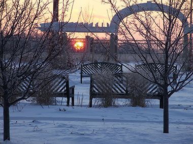 Winter Sunrise at Longfellow Gardens