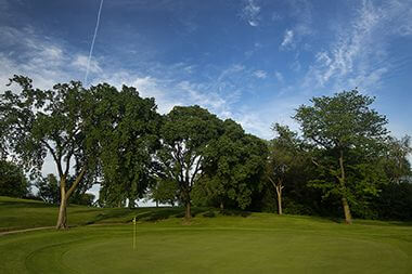Meadowbrook Golf Club Greenery