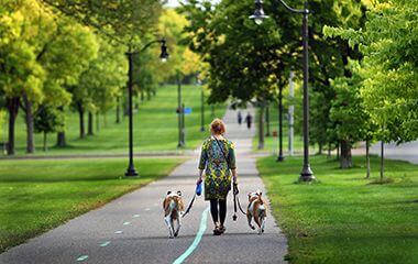 Pedestrians and Dogs at Victory Memorial Drive