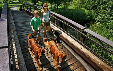 Pedestrians and Dogs at Minnehaha Creek Trails