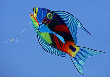 Kite in the Sky at Lake Harriet Winter Kite Festival