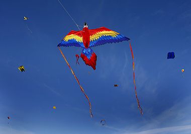 Annual Lake Harriet Winter Kite Festival