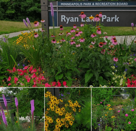 Ryan Lake Park flowers